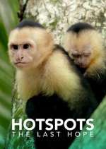 Watch Hotspots: The Last Hope Putlocker