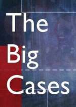 Watch The Big Cases Putlocker
