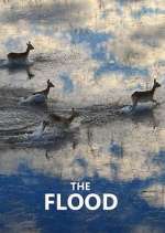 Watch The Flood Putlocker