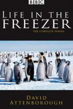 Watch Life in the Freezer Putlocker