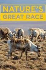 Watch Nature's Great Race Putlocker