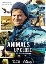Watch Animals Up Close with Bertie Gregory Putlocker