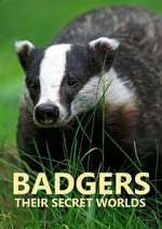 Watch Badgers: Their Secret Worlds Putlocker