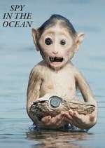 Watch Spy in the Ocean Putlocker