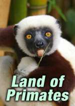 Watch Land of Primates Putlocker