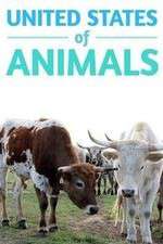 Watch United States of Animals Putlocker
