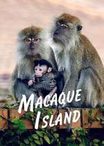 Watch Macaque Island Putlocker