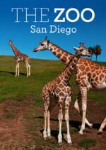 Watch The Zoo: San Diego Putlocker