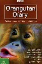 Watch Orangutan Diary Putlocker
