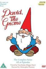 Watch David el gnomo Putlocker
