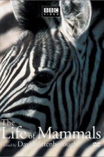 Watch The Life of Mammals Putlocker