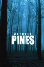 Watch Wayward Pines Putlocker