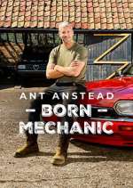 Watch Ant Anstead: Born Mechanic Putlocker