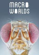 Watch Macro Worlds Putlocker