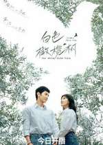 Watch The White Olive Tree Putlocker