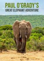 Watch Paul O'Grady's Great Elephant Adventure Putlocker