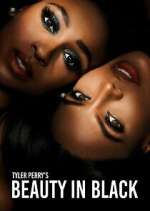 Watch Tyler Perry\'s Beauty in Black Putlocker