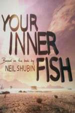 Watch Your Inner Fish Putlocker