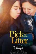 Watch Pick of the Litter Putlocker