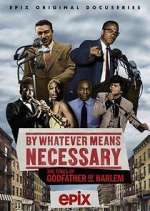 Watch By Whatever Means Necessary: The Times of Godfather of Harlem Putlocker