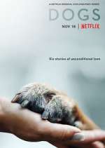 Watch Dogs Putlocker