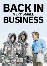 Watch Back in Very Small Business Putlocker