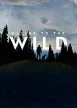 Watch Called to the Wild Putlocker
