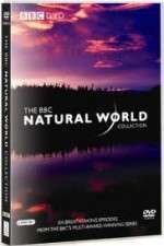 Watch The Natural World Putlocker