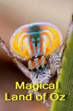 Watch Magical Land of Oz Putlocker