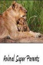 Watch Animal Super Parents Putlocker