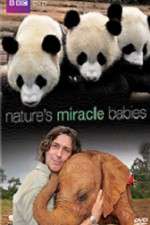 Watch Natures Miracle Babies Putlocker