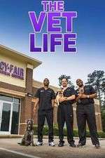 Watch The Vet Life Putlocker