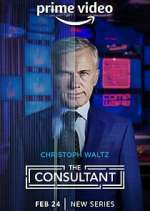 Watch The Consultant Putlocker