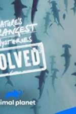 Watch Nature\'s Strangest Mysteries: Solved Putlocker