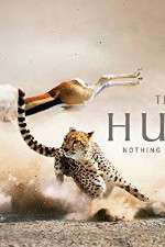 Watch The Hunt Putlocker