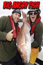 Watch Big Angry Fish Putlocker