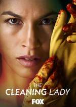 The Cleaning Lady putlocker