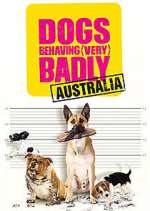 Watch Dogs Behaving (Very) Badly Australia Putlocker