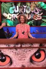 Watch Curious Creatures Putlocker