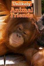 Watch Unlikely Animal Friends Putlocker