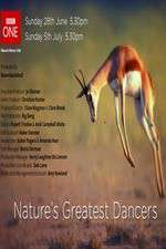 Watch Nature's Greatest Dancers Putlocker