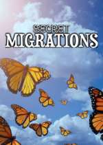 Watch Secret Migrations Putlocker