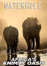 Watch Waterhole: Africa's Animal Oasis Putlocker