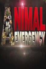 Watch Animal Emergency Putlocker
