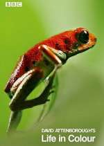 Watch Attenborough's Life in Colour Putlocker