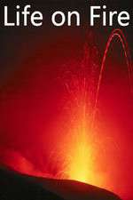 Watch Life on Fire Putlocker