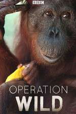 Watch Operation Wild Putlocker