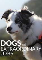 Watch Dogs with Extraordinary Jobs Putlocker