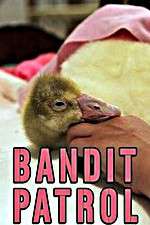 Watch Bandit Patrol Putlocker