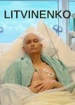 Watch Litvinenko Putlocker